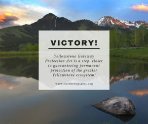yellowstone protected from mining
